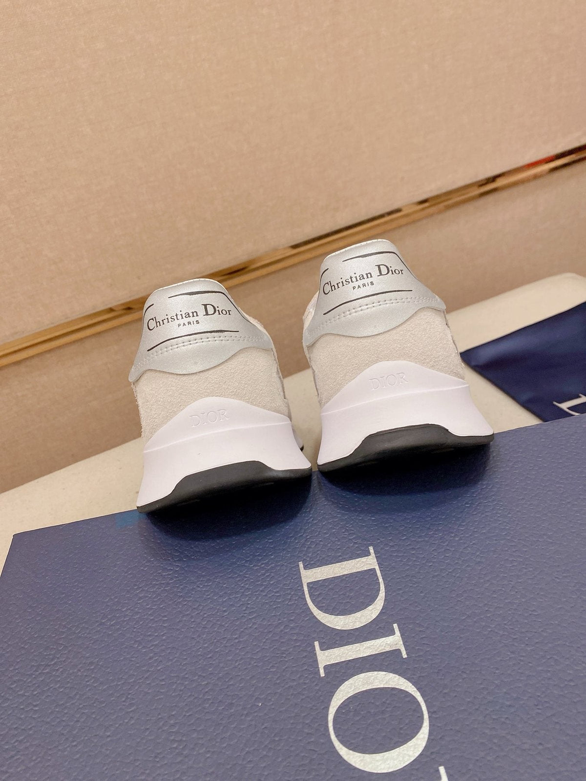 Dior B30 Low-Top Sneakers — back